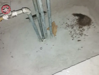 铁锋卫生间测漏水价格明细